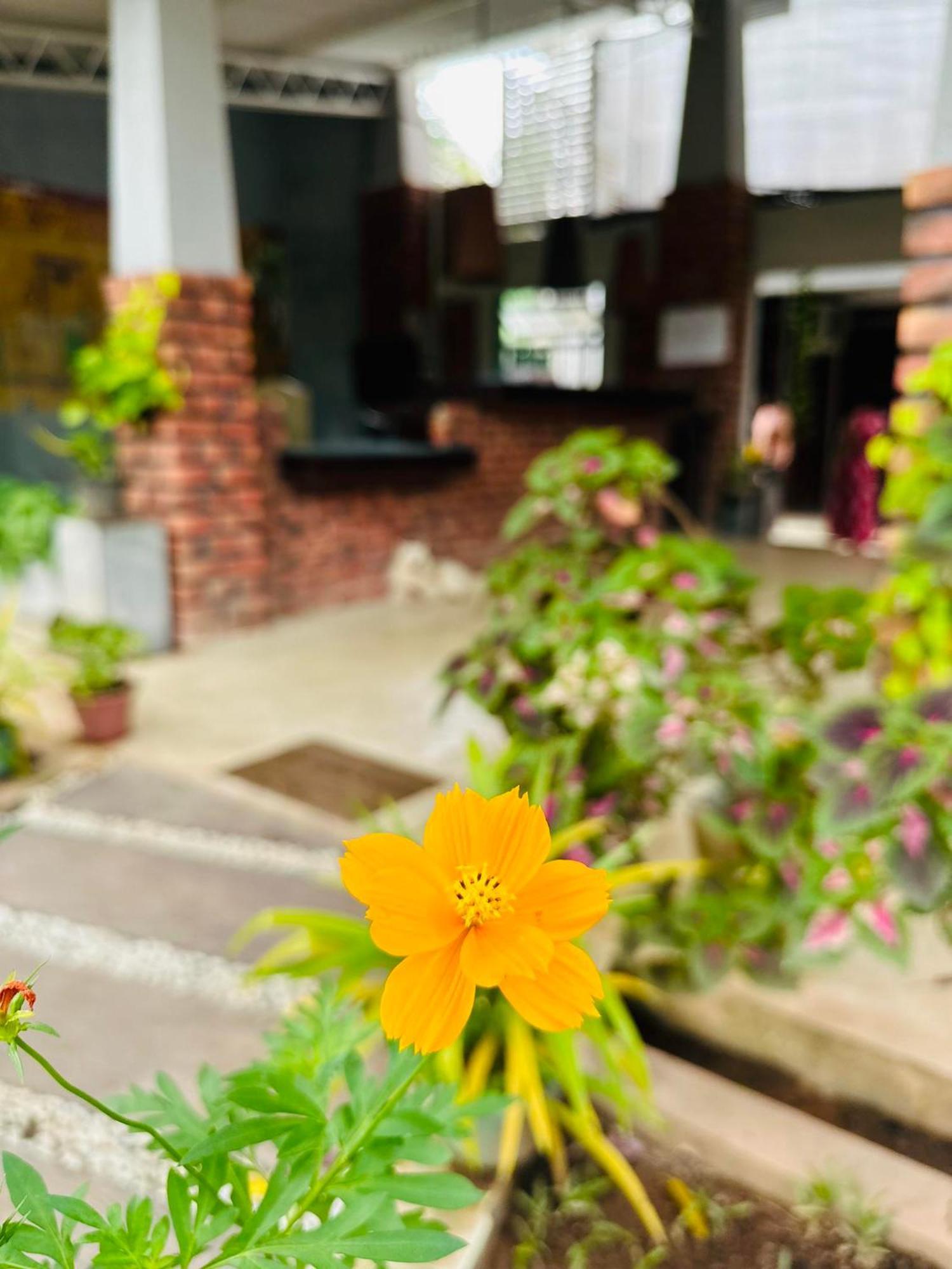 Lanka Bangla Inn Villas Restaurant & Travels كاتوناياكى المظهر الخارجي الصورة